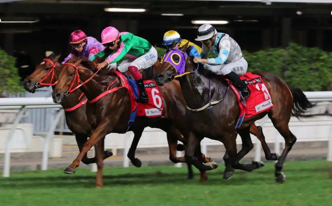 hkjc香港賽馬會，hkjc香港赛马会精彩瞬间
