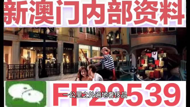 2025澳门特马开奖查询，澳门特马开奖结果查询 2025最新开奖信息
