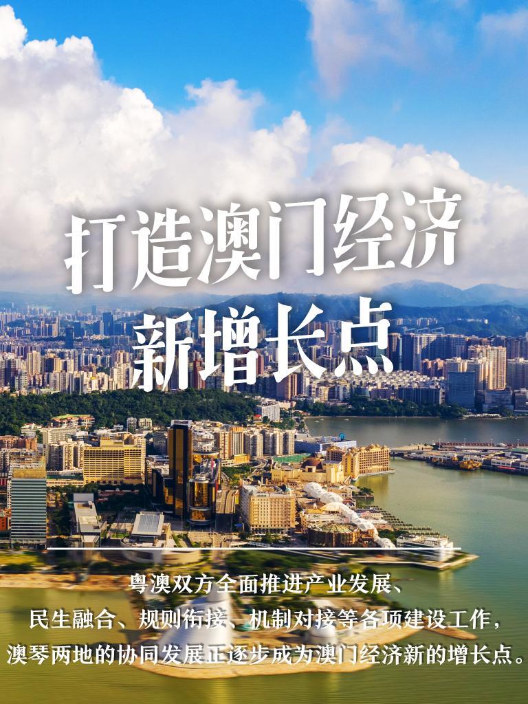 新澳最新最快资料新澳50期，一网打尽所有热门信息，新澳热门信息一网打尽，最新最快资料新澳50期汇总
