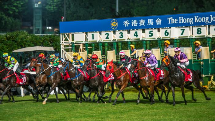 澳门赛马会网址大全免费，澳门赛马会网址大全，免费入口集合