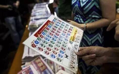 2025香港今晚六给彩开奖结果，香港今晚六开奖结果揭晓预告（附最新开奖数据）