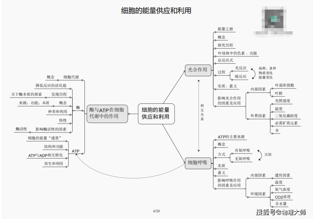 2025新澳三期必出一肖，揭秘新澳三期必出一肖预测
