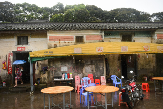 内部马料资料大全，内部马料资料大全，全面解析资料库