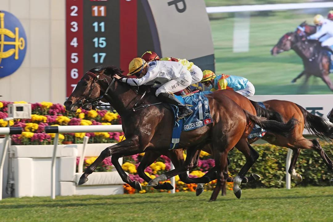 香港2025马会传真资料详解，香港2025马会传真资料详解概览