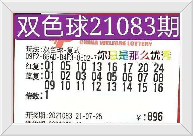揭秘83期澳门码开奖结果，一网打尽所有细节，独家揭秘，澳门码开奖结果全解析，细节一网打尽（第83期）