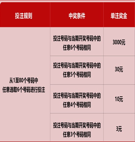 新澳六开彩开奖号码记录，探索与解析，新澳六开彩开奖号码记录解析探索