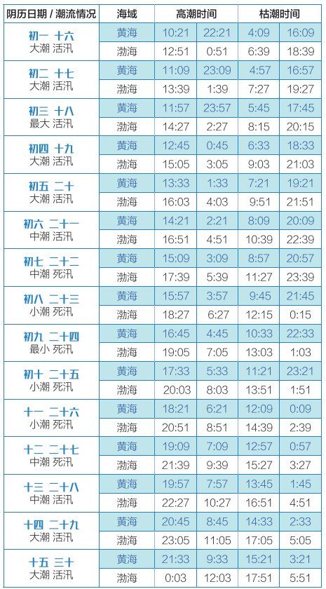 2025澳门天天开好彩大全开奖结果查询—全面解读与实时查询指南，澳门天天开好彩开奖结果实时查询与全面解读指南