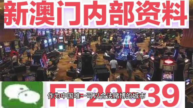今晚澳门开奖号码结果深度解析，澳门今晚开奖号码结果深度解析报告