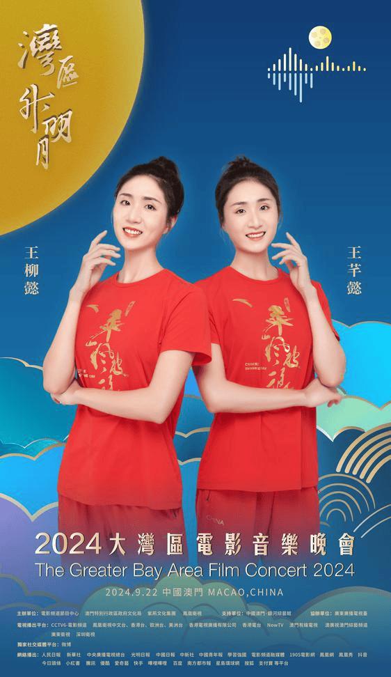 澳门今晚开码开的什么开的什介，澳门今晚开奖结果及解析
