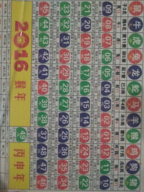 2024十二生肖49码表图，2024十二生肖49码表图全解析