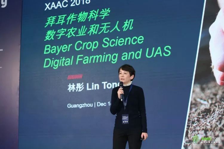 揭秘7777788888精准新传真，一网打尽真相，揭秘精准新传真7777788888，真相一网打尽