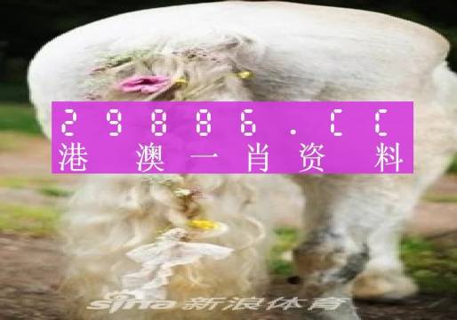 2025全年资料免费大全一肖一特，一网打尽，资源大解析，2025全年资料大解析，一肖一特一网打尽免费资源