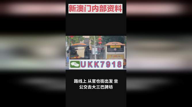 2025年澳门特马今晚号码，澳门特马今晚号码预测（2025年）