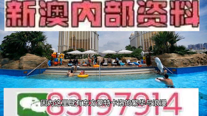 今晚澳门特马开的什么，澳门今晚特马开奖结果揭晓