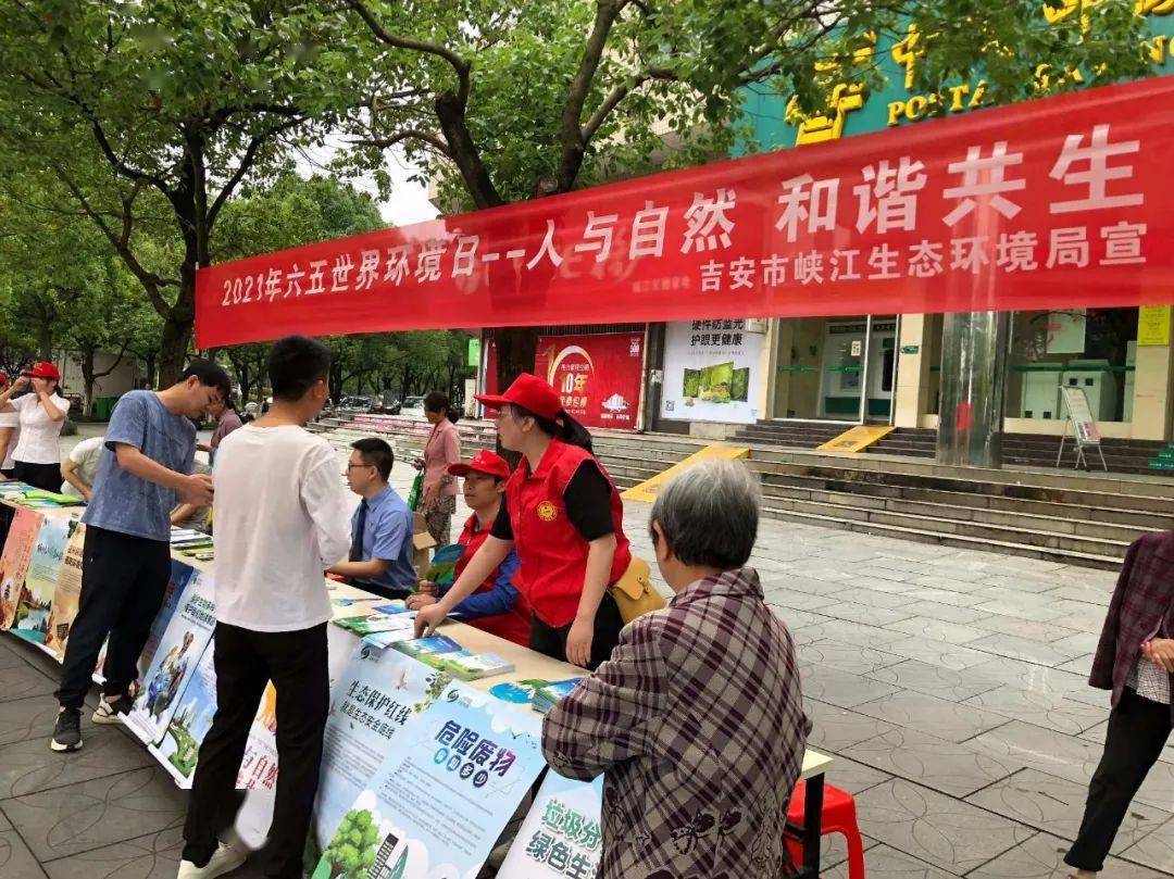二四六香港天天开彩大全—揭秘彩票背后的秘密，揭秘彩票背后的秘密，香港天天开彩大全二四六开奖全解析