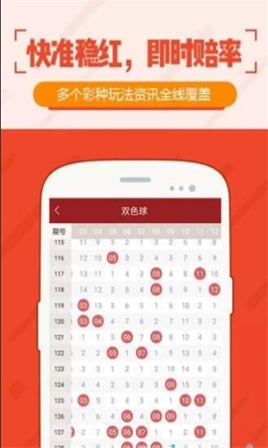 今晚新澳门开奖结果查询全解析，新澳门开奖结果查询及全解析报告