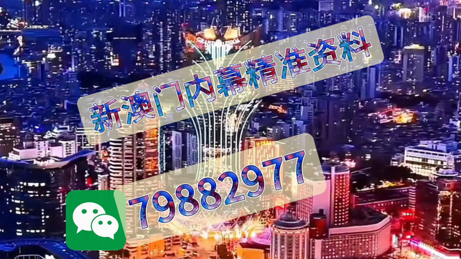 今晚上一特中马澳门的激情之夜，澳门激情之夜，今晚特中马澳的热血盛宴