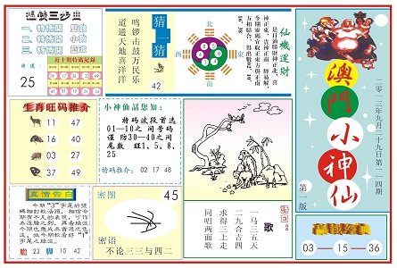 新粤门六舍彩资料正版，新粤门六舍彩正版资料解析
