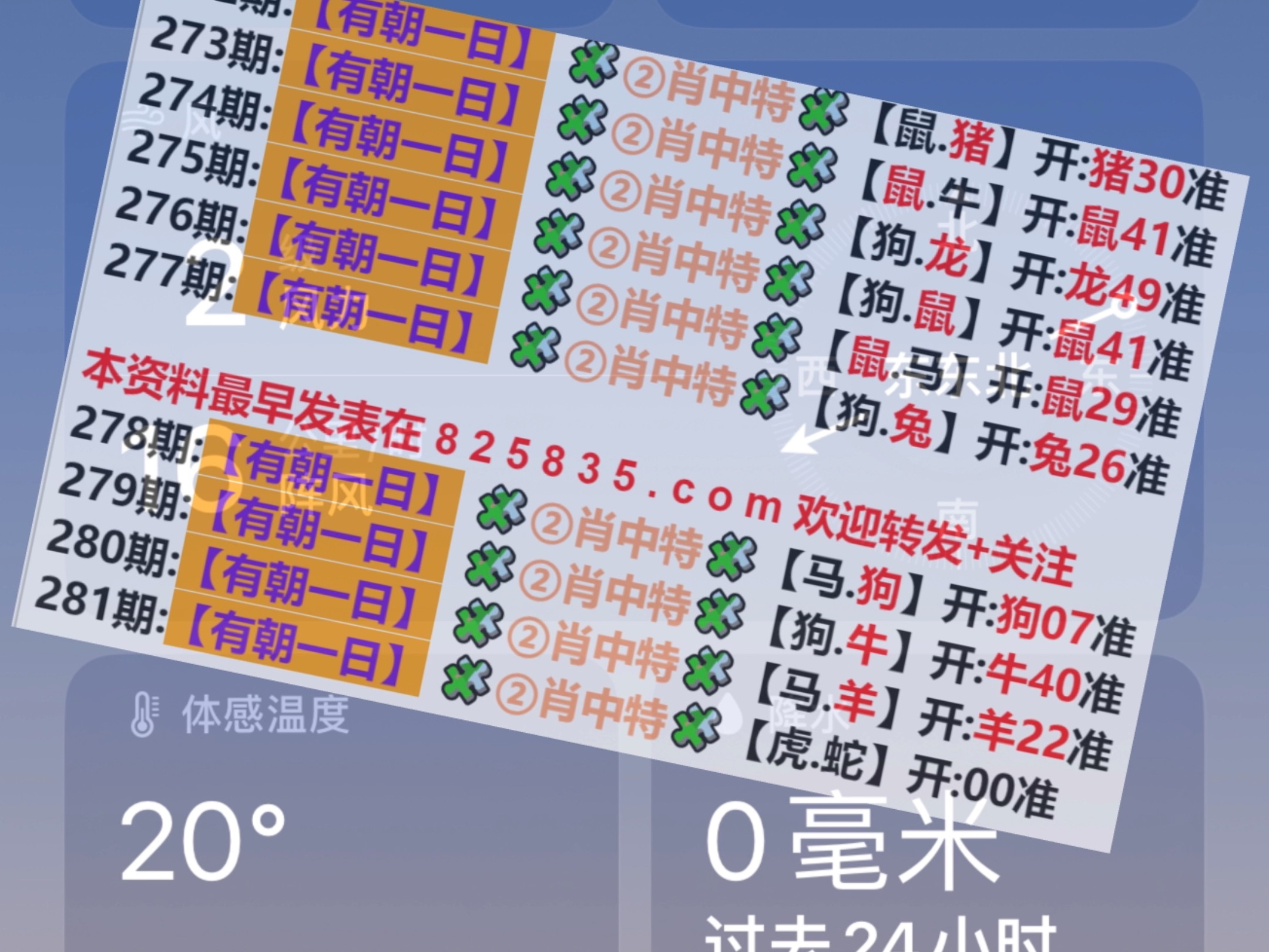 judong 第8页