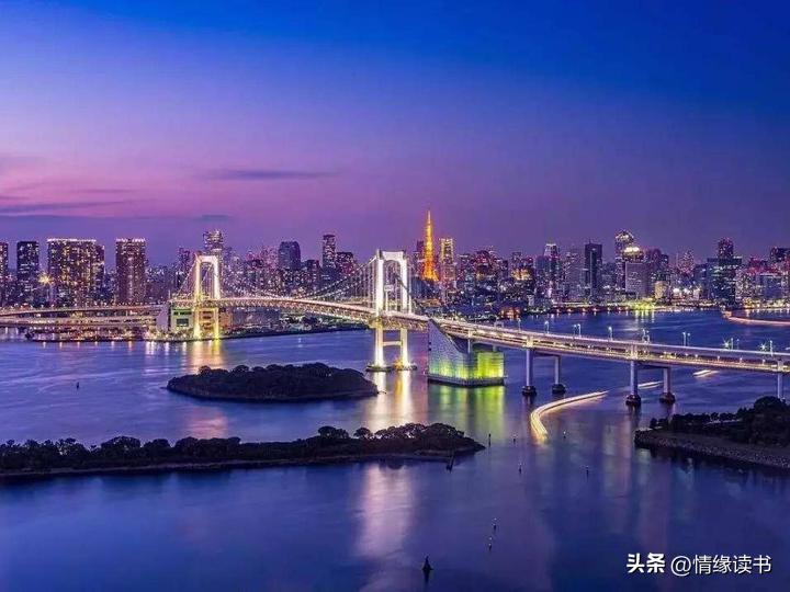 2025年澳门资料查询指南，澳门资料查询指南（2025版）