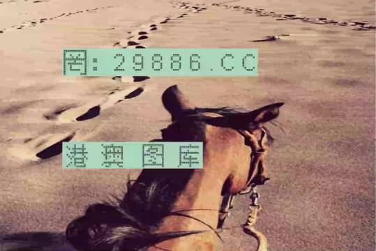 香港特马资料王中王24期—深度解析与独家观点，香港特马资料王中王24期深度解析与独家观点分享