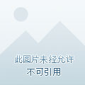 人鱼全新正版图片，海洋魅力与神秘传说，人鱼神秘传说，全新正版图片揭示海洋魅力