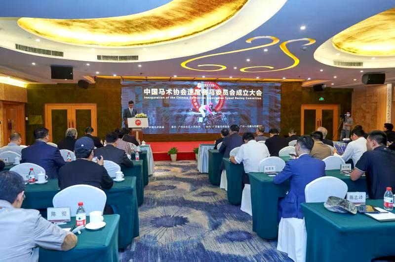 2025全年資料免費大全優勢，2025全年資料免費大全，全面優勢解析