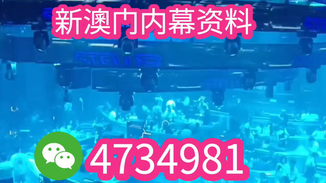 揭秘，2025澳门特马今晚开奖结果，揭秘，2023年澳门特马今晚开奖结果揭晓