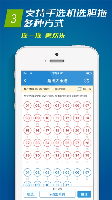 2025澳彩资料大全查询手册，2025澳彩资料大全查询手册，全面解析澳彩信息与技巧