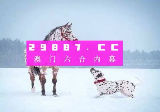 澳门100%最准一肖一码教师招聘启示，澳门精准一肖一码教师招聘启事