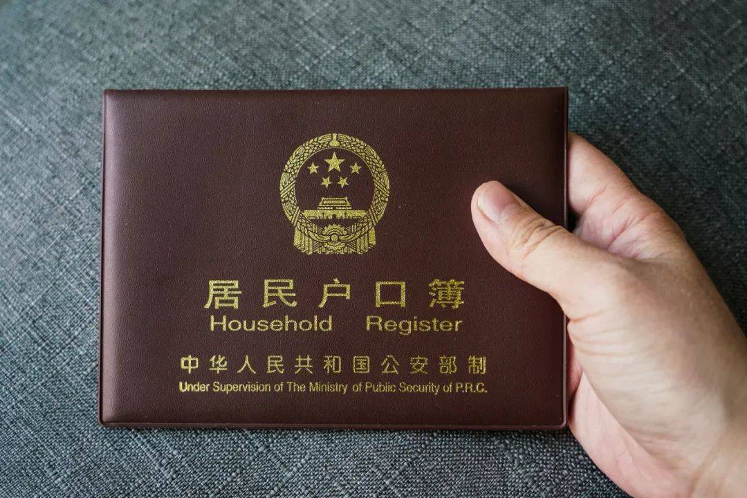 二四六天下彩资料5334cv全解析，二四六天下彩资料5334cv全解析揭秘