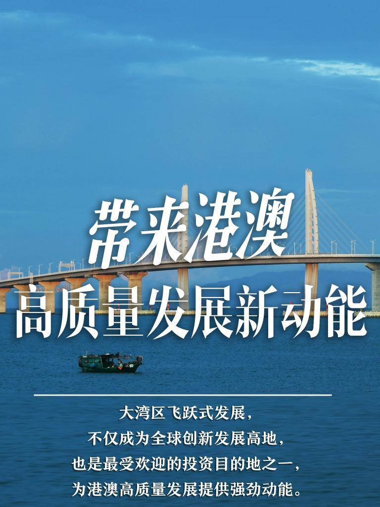 2025新澳门免费资料大全，探索与体验，2025新澳门免费资料大全，深度探索与精彩体验