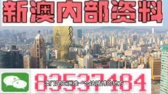 澳门三肖三码精准100%小马哥，揭秘背后的故事，澳门三肖三码精准揭秘，小马哥背后的故事