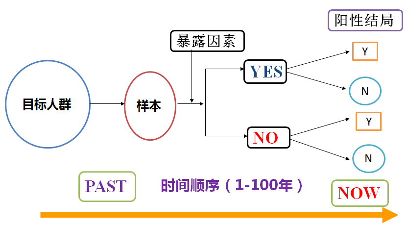 2025年天天开好彩资料狗，关于狗年彩票资料与未来好彩预测