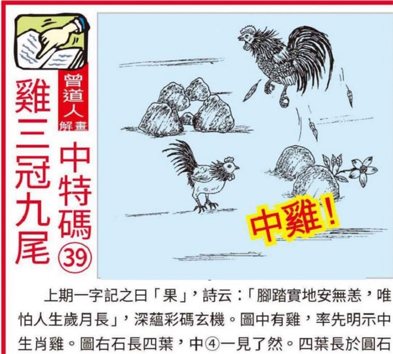 2025澳门资料大全,正版资料查询，澳门正版资料查询，2025年澳门资料大全