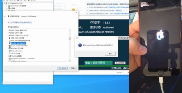 香港免费公开资料大全2023，探索信息的海洋，发掘无限可能，香港免费公开资料大全2023，探索信息海洋，发掘无限可能