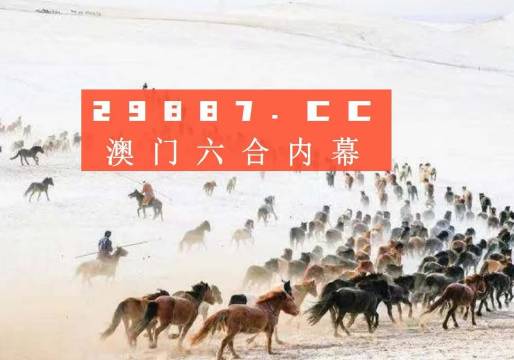 4949澳门今晚上开奖，澳门今晚开奖结果揭晓，4949期待幸运降临