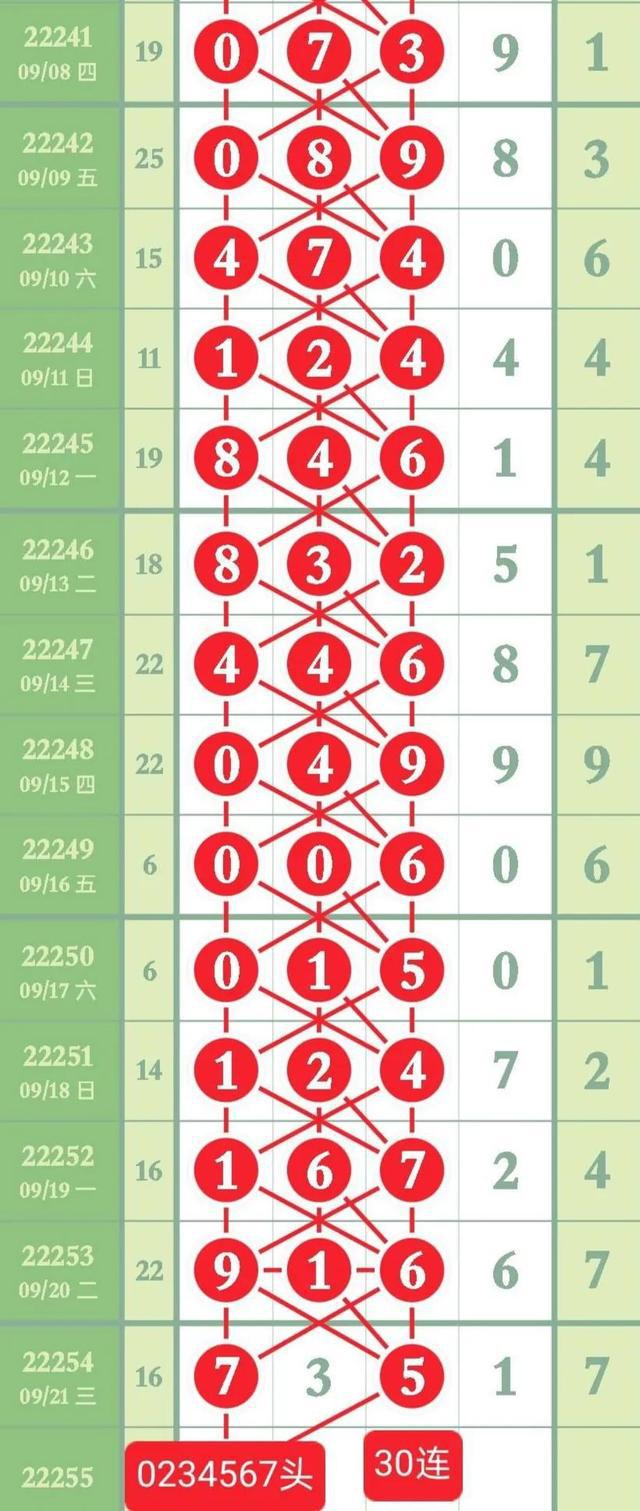澳门彩天天期期精准单双波色解析，澳门彩天天期期精准单双波色解析与预测技巧