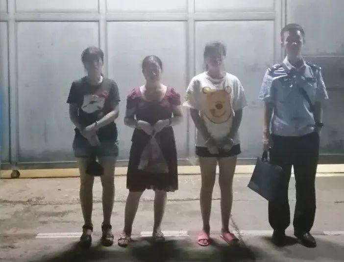 港澳六开彩开奖结果历史数据大解析—历史数据查询指南，港澳六开彩开奖结果历史数据深度解析，查询指南