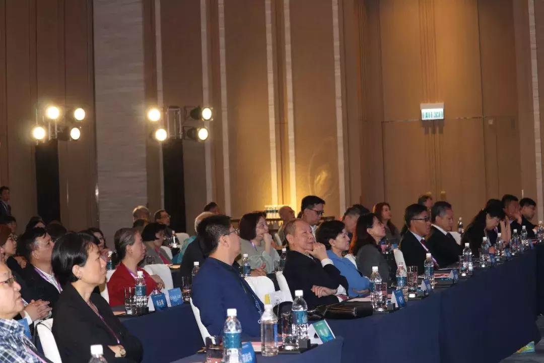 揭秘澳门正版挂牌图，探索未来的蓝图与机遇，澳门正版挂牌图揭秘，未来蓝图与机遇探索