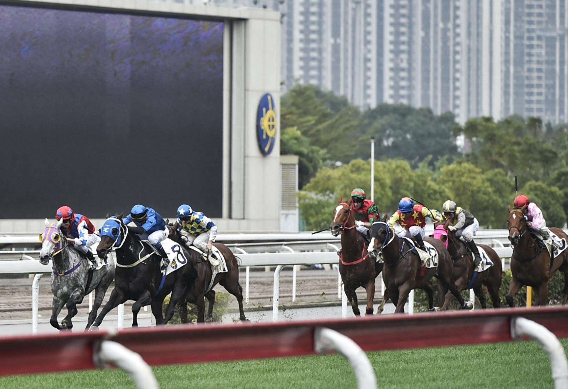 澳门赛马会好玩吗，澳门赛马会体验乐趣与刺激