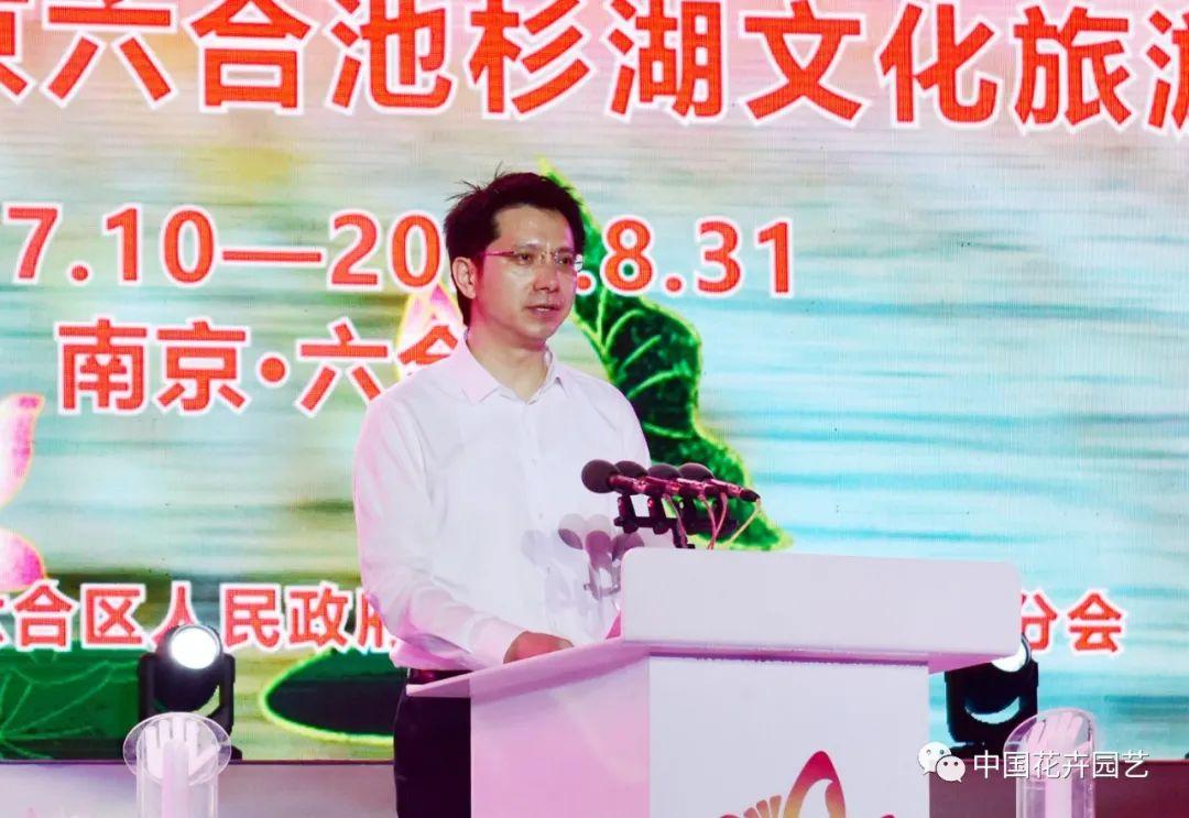 今晚上澳门六今挂牌，探索未知的魅力之城，探索澳门魅力之夜，今挂牌揭晓未知惊喜