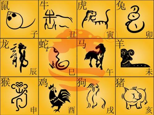 香港12生肖49数字图，香港12生肖49数字图揭秘
