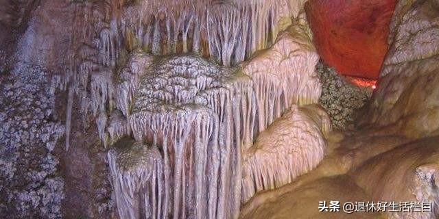 金牛网金牛版免费网金白虎，金牛网金牛版白虎免费网全新上线
