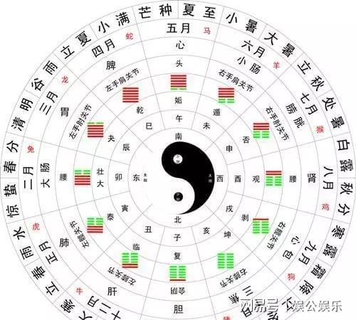 澳门一码一肖一待一中四不像图片2025，揭秘与解析，澳门一码一肖一待一中图片揭秘与解析 2025年展望