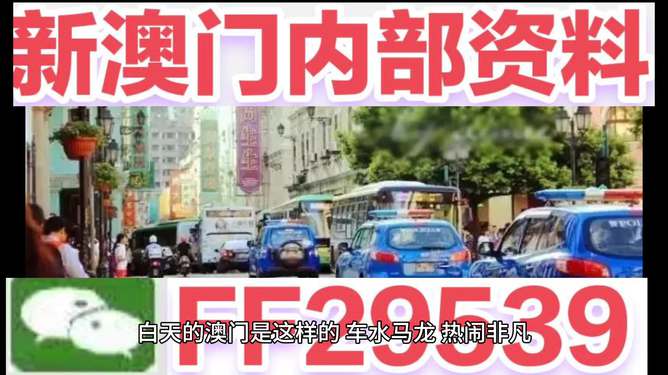 2025澳门今晚开奖结果查询，澳门开奖结果查询，最新开奖信息揭晓（2025年）