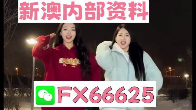 一码一肖一特早出晚一，一码一肖一特早中晚揭秘，神秘数字背后的秘密