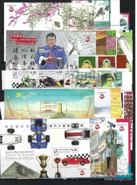 2021年澳门全年资料公开，澳门全年资料公开 2021年概览