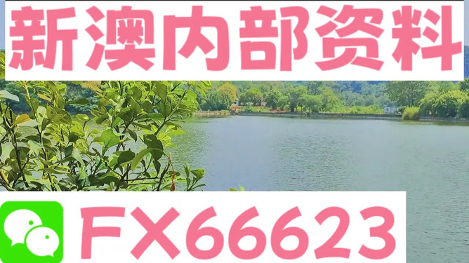 新澳精准资料提供网站及其可用软件综述，新澳精准资料提供网站与可用软件概览