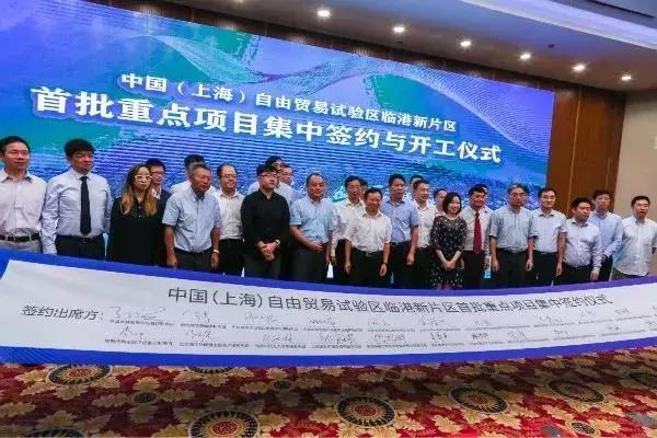 新奥天天免费资料大全下载安装全攻略，新奥天天免费资料大全，下载、安装全攻略及资料库使用指南